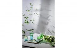 Leonardo Trinkglas Optic 215 Ml, 6 Stück, Mehrfarbig - Trinkgläser -Glaser Verkaufsgeschäft 1204315 3 5