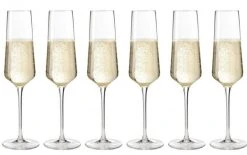 Leonardo Sektglas Puccini 280 Ml, 6 Stück, Transparent - Sektgläser