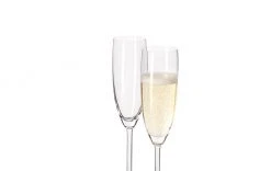 Leonardo Sektglas Daily 200 Ml, 6 Stück, Transparent - Sektgläser -Glaser Verkaufsgeschäft 537678 3 5