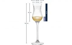 Leonardo Grappaglas Chateau 90 Ml, 6 Stück, Transparent - Schnaps- & Likör Gläser -Glaser Verkaufsgeschäft 552324 3 5