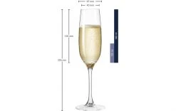 Leonardo Sektglas Ciao 190 Ml, 6 Stück, Transparent - Sektgläser -Glaser Verkaufsgeschäft 552331 3 5